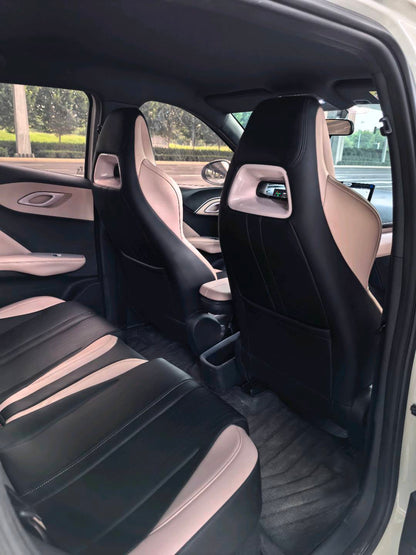 2025 Seagull 305km Vitality Edition -CG1709164