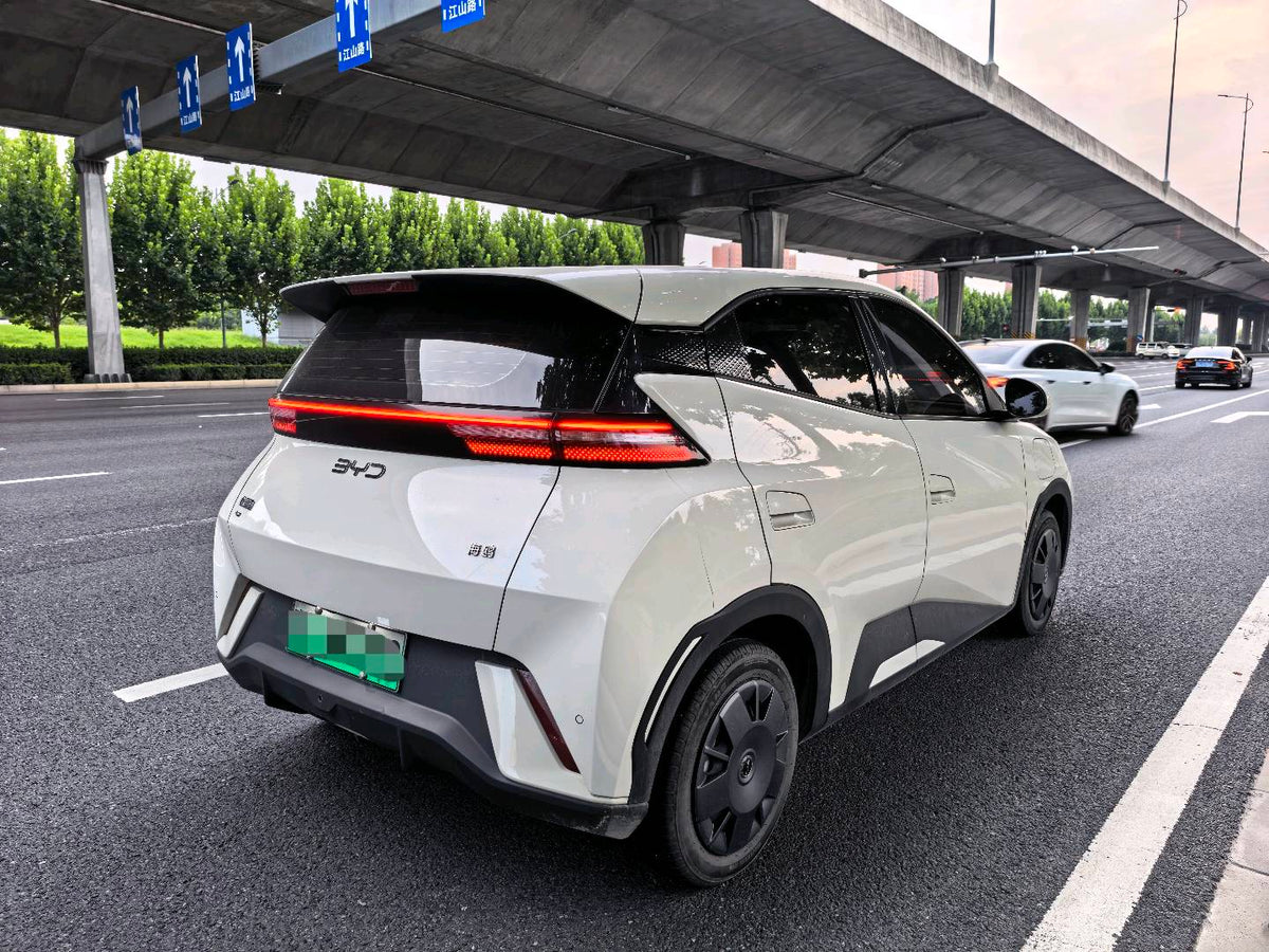 2025 Seagull 305km Vitality Edition -CG1709164