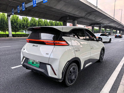 2025 Seagull 305km Vitality Edition -CG1709164