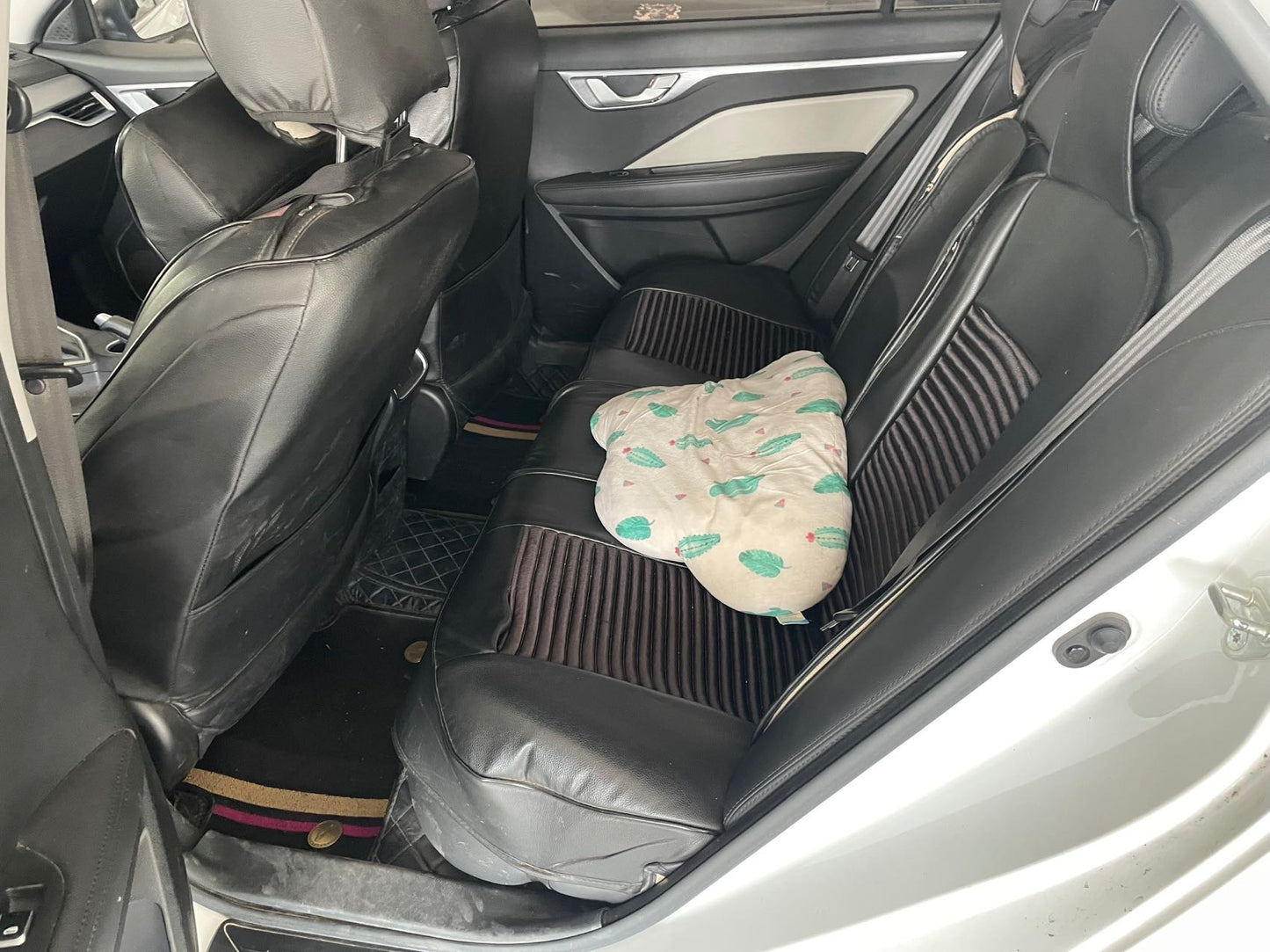 2020 Geely Vision 1.5L CVT Asian Games Edition -CG1709722