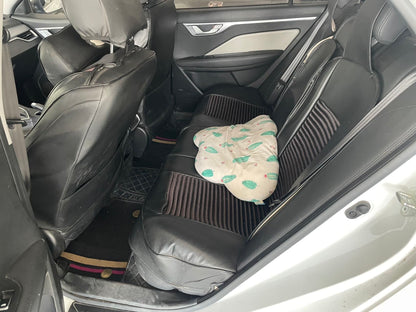 2020 Geely Vision 1.5L CVT Asian Games Edition -CG1709722