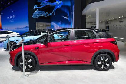 BYD Delfín