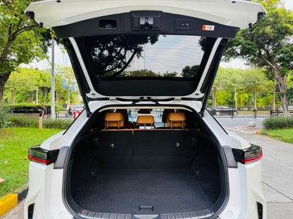 Pre-Owned Lexus RZ 2023 Model 450e DIRECT4 Premium Version