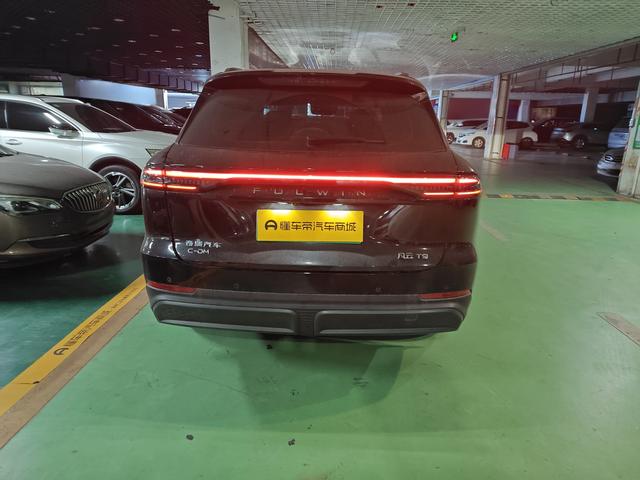 Certificated Pre-Owned Fengyun T9 2024 Edition 120 Long Range Comfortable Version Lithium Iron Phosphate -u22323039