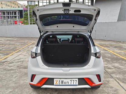 BYD دولفين 2021 إصدار الموضة المستعمل