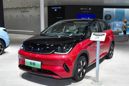 BYD Delfín