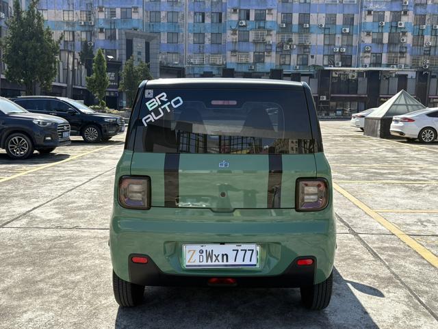 Pre-Owned Panda 2023 Model 200km Panda Mini Endurance Bear