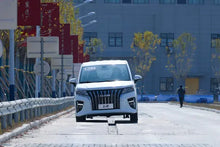 BAIC Ruisheng Wang Pai M7